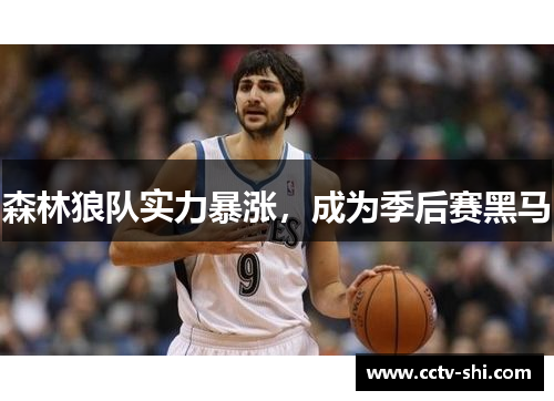 森林狼队实力暴涨，成为季后赛黑马